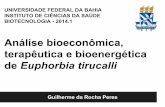 Análise bioeconômica, terapêutica e bioenergética de Euphorbia tirucalli