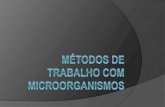 Aula 03   métodos de trabalho com microorganismos