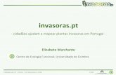 Invasoras.pt - Cidadania .0