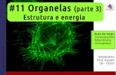 #11 Organelas 3: estrutura e energia - abr2015