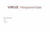 Apresentação herpes viridae   micro ii