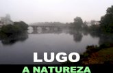 Comarca: Lugo