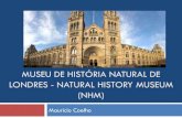 Museu de história natural de londres   natural
