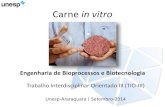 TIO 3  - Carne In Vitro