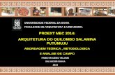 ARQUITETURA DO QUILOMBO SALAMINA PUTUMUJU - ABORDAGEM TEÓRICA , METODOLOGICA E ANALISE DE CAMPO - FAUFBA - Prof. Fábio Velame