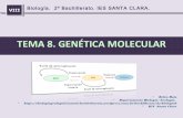 Genetica molecular