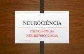 Princípios da neuropsicologia