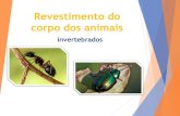 Revestimento dos animais invertebrados