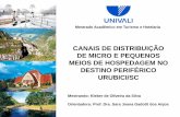 Defesa dissertação: Canais de distribuição de micro e pequenos meios de hospedagem no destino periférico Urubici