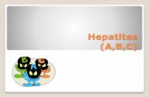 Hepatites 120426075922-phpapp01