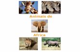 Animais de África