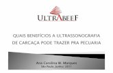 15 - ultrassonografia de carcaca - selecao e confinamento - ana carolina wider marques - ultrabeef