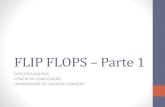 Flip Flops Parte 1