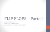 Flip Flops Parte 4