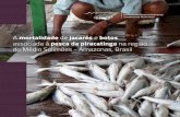 A mortalidade de jacarés e botos associada à pesca da piracatinga na região do Médio Solimões - Amazonas, Brasil.