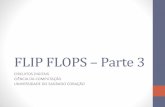 Flip Flops Parte 3