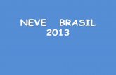 Neve no brasil 2013