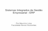 Sistema Integrado de Gestão Empresarial - ERP