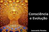 Consciência e evolução (2)
