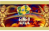 Release e apresentação do show ginga tropical