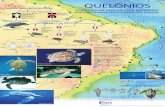 Quelônios marinhos do Brasil