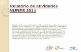 Relatório de atividades Nures 2014