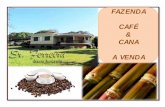 Fazenda a venda em São Sebastião do Paraíso-MG-Café e Cana