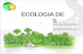 Ecologia de riachos CURSO DE VERÃO EM LIMNOLOGIA