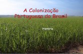 A colonização portuguesa do brazil