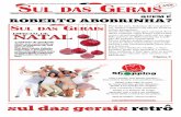 Jornal Sul das Gerais - edição 71