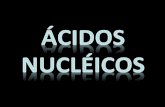 Acidos nucleicos   resumo