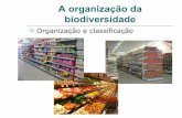 A organização da biodiversidade