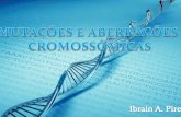 Mutações e Aberrações Cromossômicas - Síndrome de Down