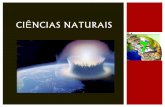 Ciências naturais 7   exercícios de fósseis