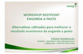 [Palestra] Cássio Rodrigues: Alternativas utilizadas para melhorar o resultado econômico da engorda a pasto - Workshop BeefPoint Engorda a Pasto outubro/2013