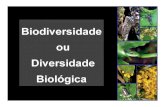 Diversidade biológica - parte A completo (cascon)