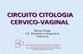 Circuito  citologia cervical para blog