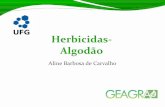 Uso de Herbicidas na cultura do Algodão