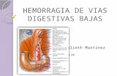Hemorragia de vias digestivas bajas (hvdb)