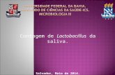 Contagem de Lactobacillus na saliva