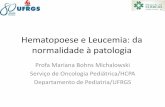 Hematopoese e Leucemia - Dra. Mariana Michalowski - XII Jornada de Onco-hematologia da Casa Durval Paiva (08.04.2015)