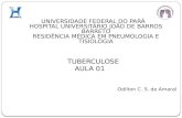 Tuberculose - Epidemiologia e Diagnóstico