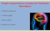 Terapia Ocupacional no contexto das Disfunções Neurológicas