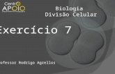 - Biologia - Exercícios Resolvidos Divisão Celular  ( 7 )