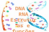Dna&Rna estruturas e funções