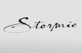 Livro stormie-uma-historia-de-perdao-e-cura