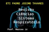 Apresentação sistema respiratório e circulatório