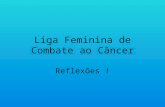 Liga feminina de combate ao câncer   palestra setembro de 2012