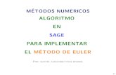 Algoritmo en SAGE para implementar el método de Euler