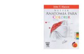 Netter   anatomia para colorir (amostra)